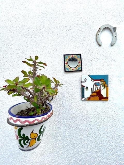 Gatu Premium Villa Patio Andaluz El Puerto de Santa María Exteriér fotografie
